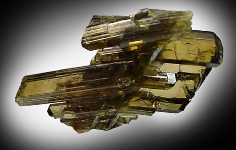 Mineral Specimens: Epidote from Tormiq Valley area, Haramosh Mountains, Gilgit, Pakistan