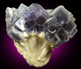 Mineral Specimens: Fluorite on Barite from Berbes Mine, near Ribadesella, Oviedo, Spain
