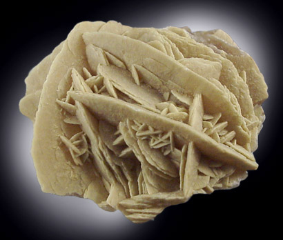 Mineral Specimens: Gypsum from Chihuahua, Mexico