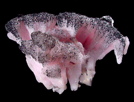 Mineral Specimens: Calcite var. Mangano with Manganite from Wessels Mine, Kuruman Province, North Cape Prov., South Africa