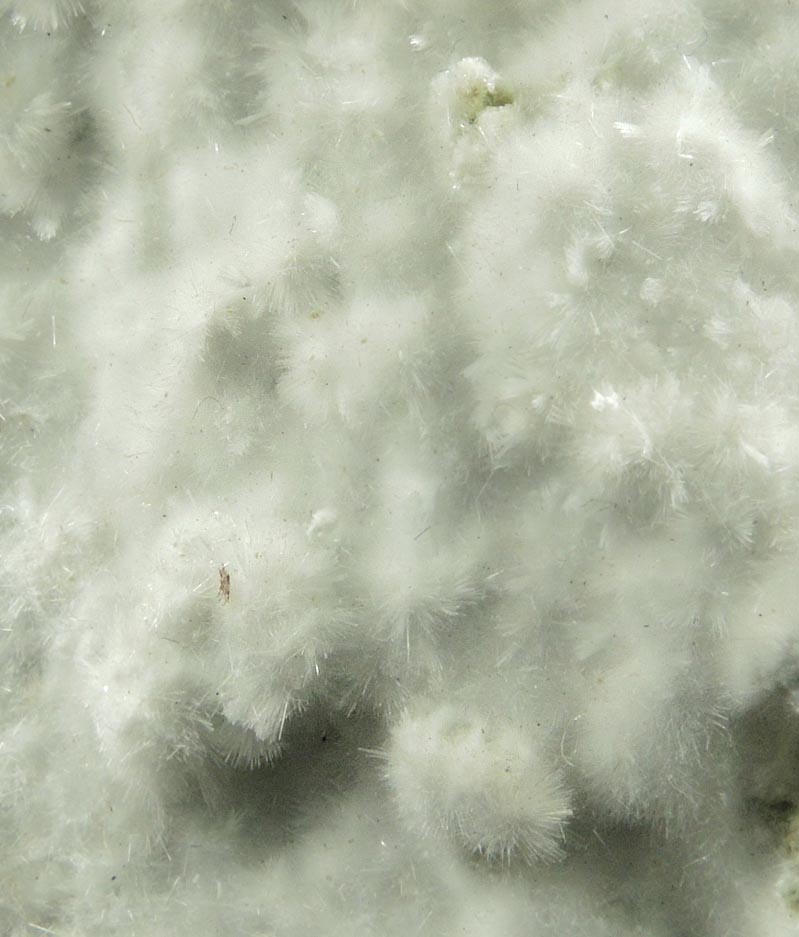 Detail view of mineral Artinite for sale from Spring Street at Medford Road, Staten Island, New York City, Richmond County, New York