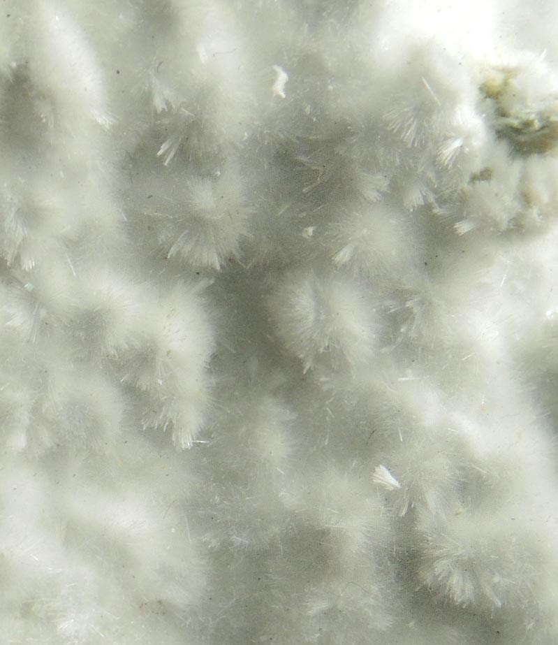 Detail view of mineral Artinite for sale from Spring Street at Medford Road, Staten Island, New York City, Richmond County, New York