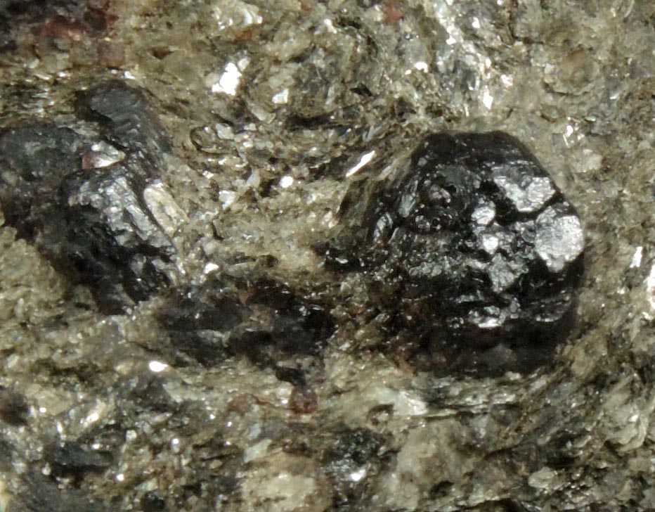 Detail view of mineral Almandine Garnet in schist for sale from near the Spuyten Duyvil, northern Manhattan Island, New York City, New York County, New York