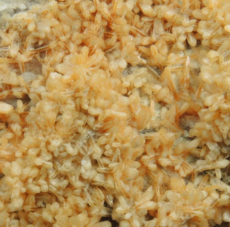 Detail view of mineral Stilbite-Ca with minor Muscovite for sale from Water Tunnel No.3 under Manhattan Island, New York City, New York County, New York