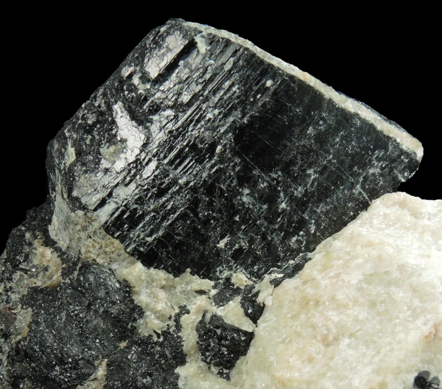 Detail view of mineral Schorl Tourmaline for sale from Harlem Meer, in the northeast corner of Central Park, New York City, New York County, New York