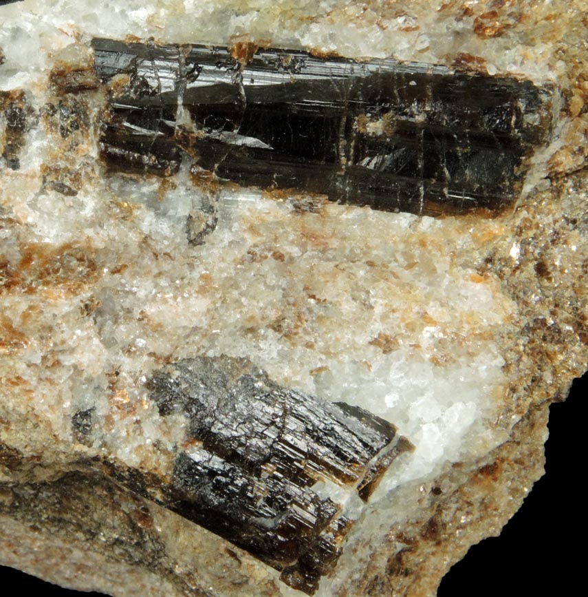 Detail view of mineral Dravite-Uvite Tourmaline in Inwood Marble for sale from northwest corner of 207 Street and Broadway, Manhattan Island, New York City, New York County, New York