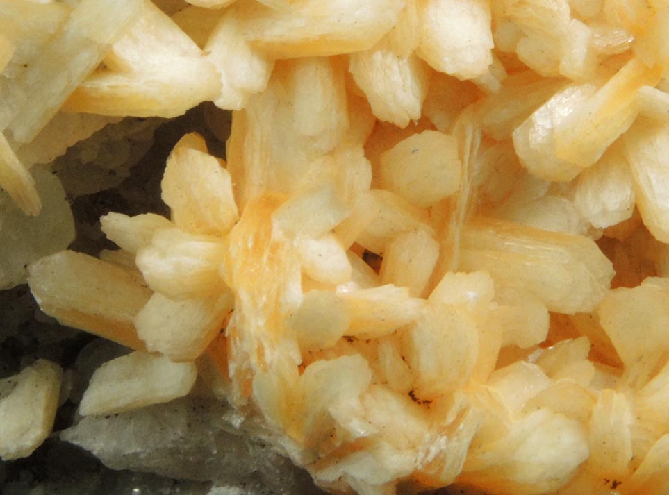 Detail view of mineral Stilbite-Ca on Calcite for sale from IRT Pelham Line Subway under Southern Boulevard, Bronx, New York City, Bronx County, New York
