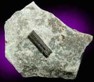 Dravite-Uvite Tourmaline in Inwood Marble for sale from Harlem Ship Canal excavation, norther Manhattan Island, New York City, New York County, New York