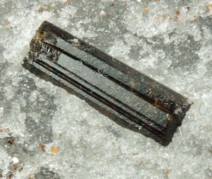 Detail view of mineral Dravite-Uvite Tourmaline in Inwood Marble for sale from Harlem Ship Canal excavation, norther Manhattan Island, New York City, New York County, New York