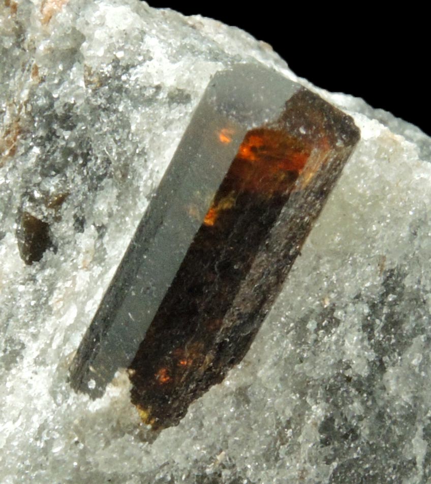 Detail view of mineral Dravite-Uvite Tourmaline in Inwood Marble (best of find) for sale from Harlem Ship Canal excavation, norther Manhattan Island, New York City, New York County, New York