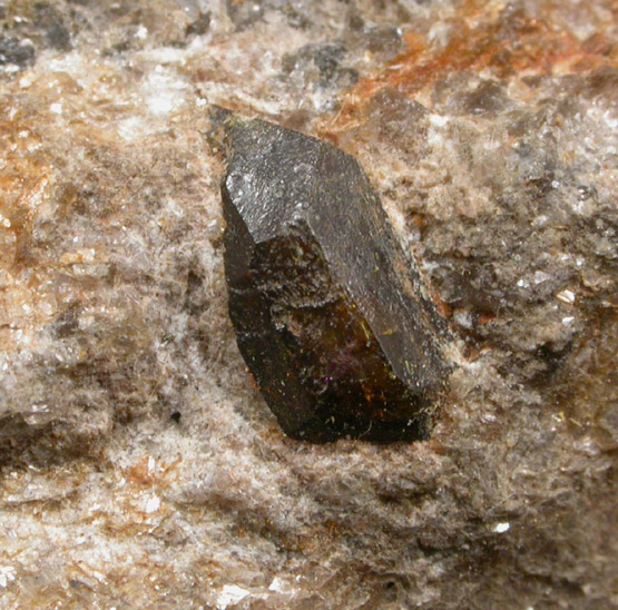 Monazite 7 mm long from 171st St. and Fort Washington, Manhattan 