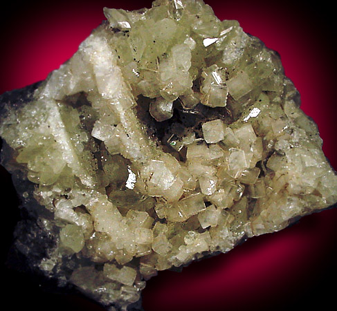 Mineral Specimens: Apophyllite on Datolite from Millington Quarry, Millington, New Jersey