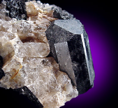 Mineral Specimens: Schorl in Albite from Harvard Quarry, Greenwood, Maine