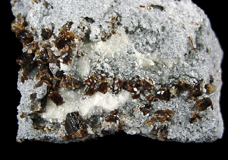 Mineral Specimens: Uvite / Dravite Tourmaline from Inwood Hill Park, Manhattan Island, New York City, New York