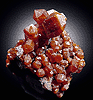 Mineral specimen: Vanadinite from J. C. Holmes claim, Patagonia, Arizona.