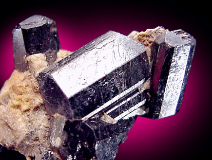 Mineral Specimens: Schorl, terminated crystals from Harvard Quarry, Greenwood, Maine